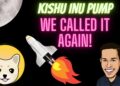 Kishu Inu Mega pump! We called it first! Kishu inu Pump update+ Discord updates!